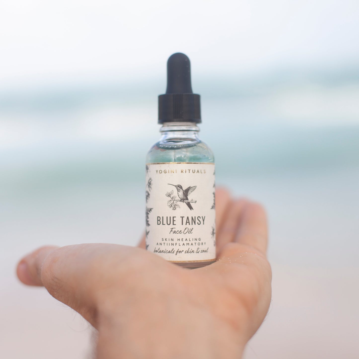 Blue Tansy · Radiance Day Oil